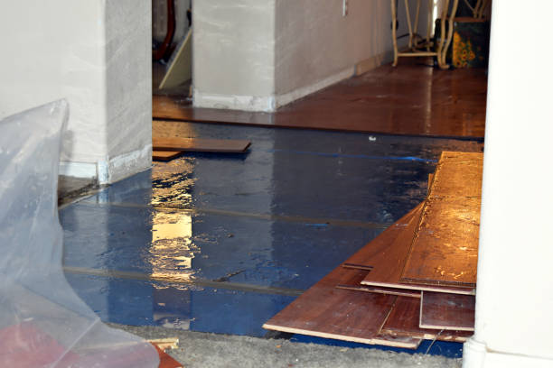 Professional Burst Pipe Cleanup technician working in Steep Falls, ME